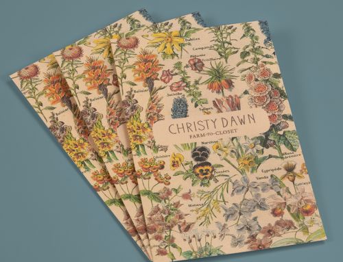 Tiny Full-Color Envelopes: Christy Dawn Farm-to-Closet