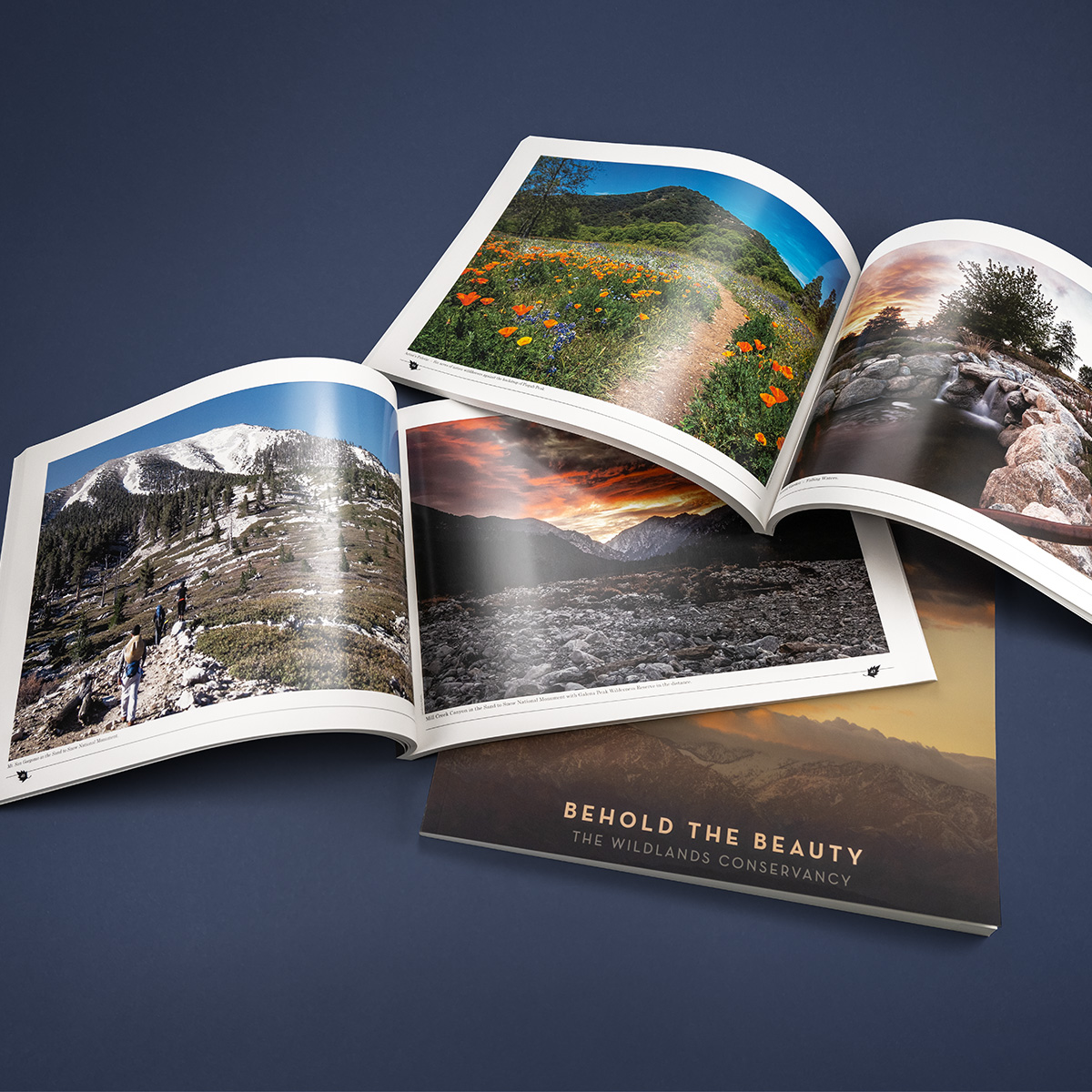 Book Printing & Binding: Wildlands “Behold the Beauty” Book