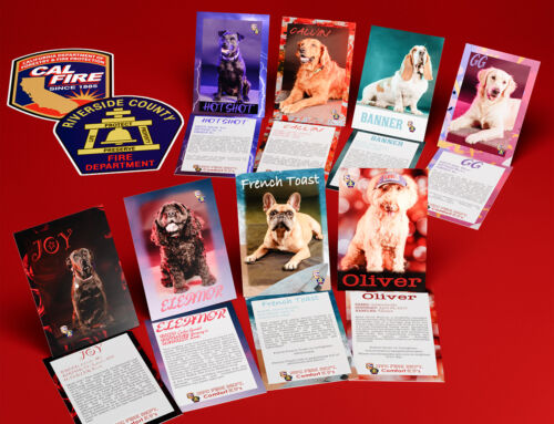 Trading Cards: CalFire Riverside County Fire Comfort K9’s