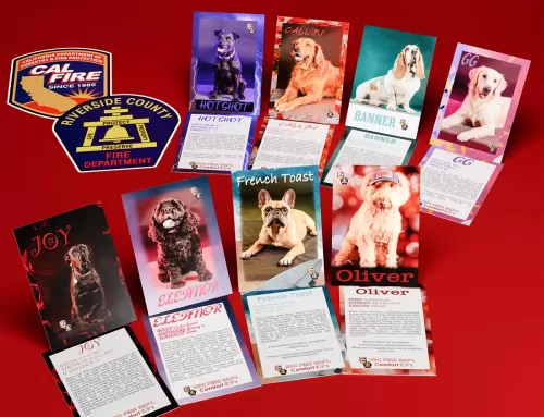 Trading Cards: CalFire Riverside County Fire Comfort K9’s